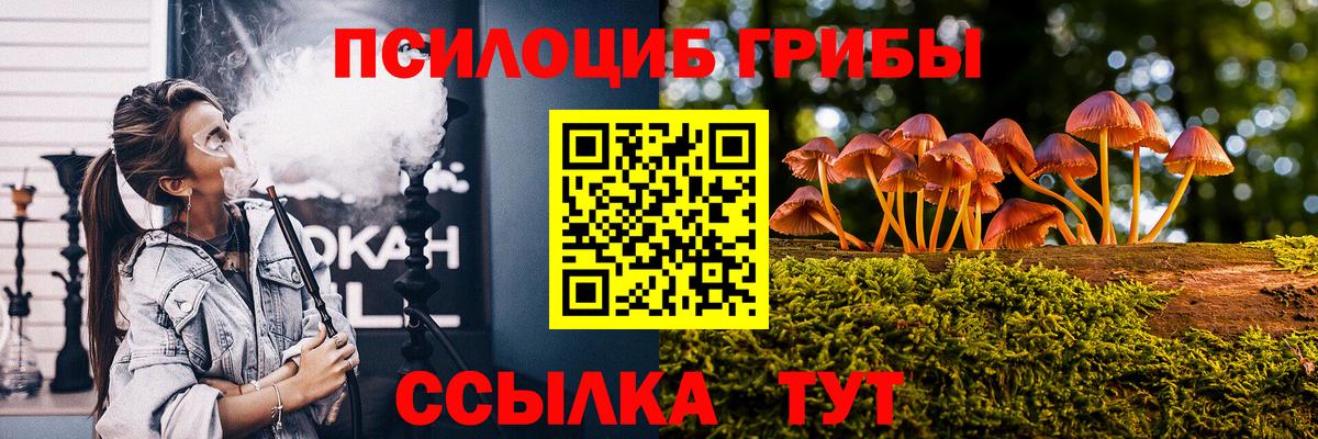 Галлюциногенные грибы Psilocybine cubensis Усолье-Сибирское